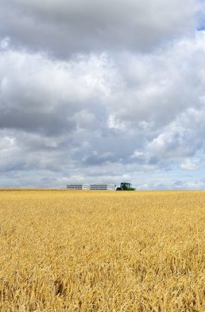 PODCZAS PRAC POLOWYCH – ZACHOWAJ OSTROŻNOŚĆ. ciągnik w polu