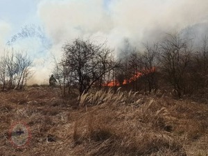 pożar traw , źródło OSP Świdnica