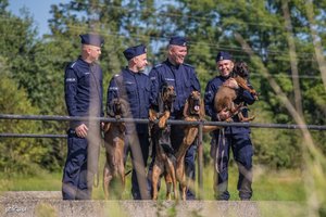 Psy służbowe w polskiej Policji