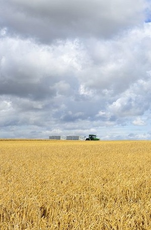 PODCZAS PRAC POLOWYCH – ZACHOWAJ OSTROŻNOŚĆ