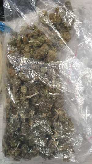 marihuana w worku przezroczystym