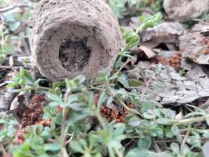 KOLEJNE NIEWYBUCHY UJAWNIONE NA TERENIE POWIATU ŚWIDNICKIEGO