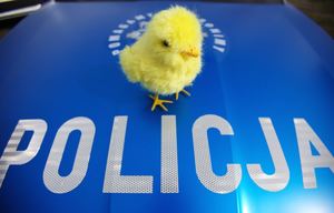 Podczas świątecznych spotkań z rodziną rozmawiajmy z bliskimi o tym, jak nie dać się oszukać