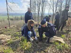 Policjanci ze Świdnicy ponownie wzięli udział w społecznym sadzeniu lasu