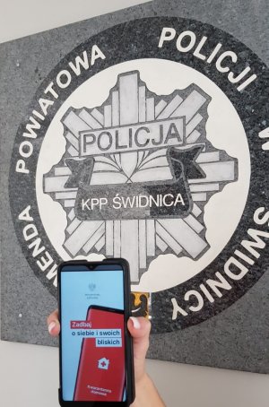 telefon z aplikacją domową